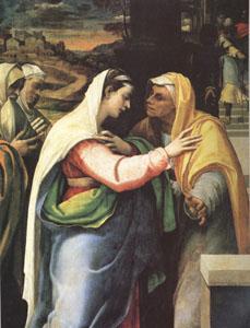 Sebastiano del Piombo The Visitation (mk05) oil painting picture